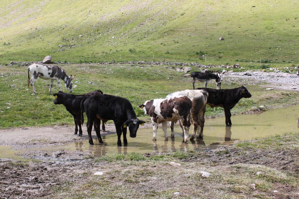 Dependance Sporting Hotell Livigno Eksteriør bilde